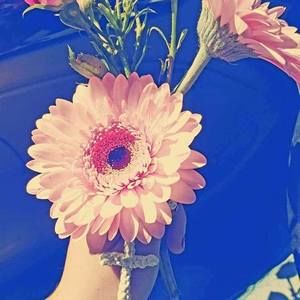 Meet your Posher, Mariah